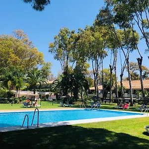 Leo En Puerto Banus Marbella
